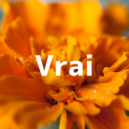 Vraiロゴ